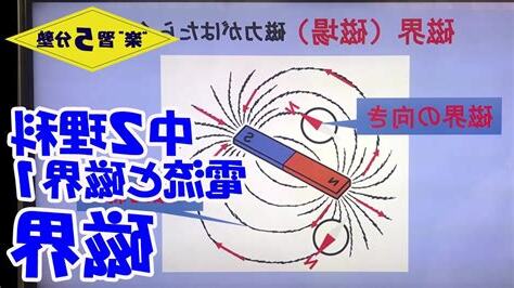 電線 磁場